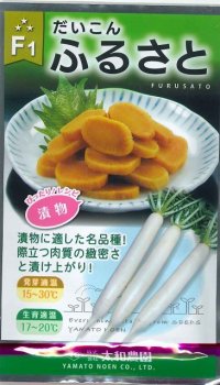 送料無料　[大根]　ふるさと　8ml　（株）大和農園