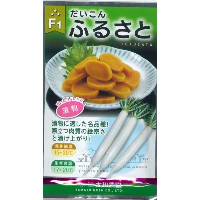 画像1: 送料無料　[大根]　ふるさと　8ml　（株）大和農園