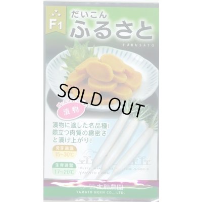 画像1: 送料無料　[大根]　ふるさと　8ml　大和農園