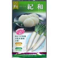 送料無料　[大根]　紀和　8ml(およそ260粒)（株）大和農園