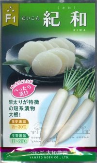 送料無料　[大根]　紀和　8ml(およそ260粒)（株）大和農園