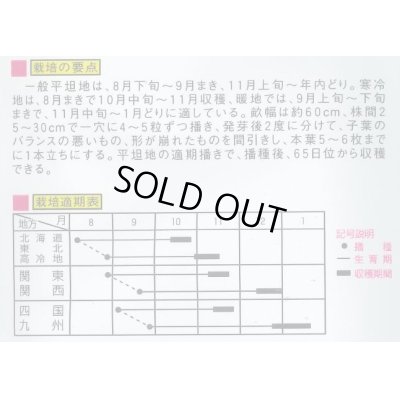 画像2: [大根]　ＹＳ大蔵大根　8ml （およそ280粒）　大和農園