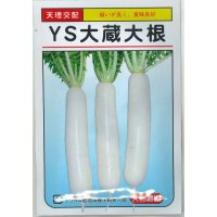 送料無料　[大根]　ＹＳ大蔵大根　5ml　(およそ280粒)　（株）大和農園