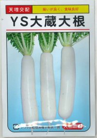 送料無料　[大根]　ＹＳ大蔵大根　5ml　(およそ280粒)　（株）大和農園