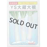 [大根]　ＹＳ大蔵大根　8ml （およそ280粒）　大和農園