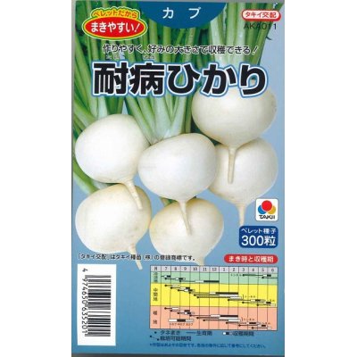 画像1: [かぶ]　耐病ひかり　ペレット300粒　タキイ種苗（株）