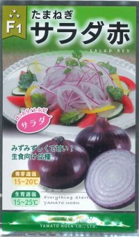 送料無料　[たまねぎ]　サラダ赤玉葱　5ml　（株）大和農園