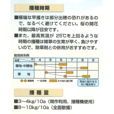 画像2: [緑肥]　オオムギ　マルチムギワイド　1kg　カネコ種苗(株）