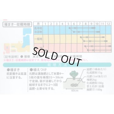 画像2: 送料無料　[キャベツ]　翠緑　1ml　(株)大和農園