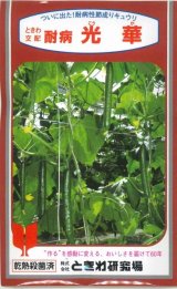 送料無料　[キュウリ]　耐病光華　350粒　(株)ときわ研究場