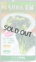 送料無料　[小松菜]　ちりめん美緑　5ml　(株)大和農園