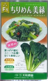 送料無料　[小松菜]　ちりめん美緑　5ml　（株）大和農園
