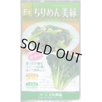 [小松菜]　ちりめん美緑　　5ml 　（株）大和農園