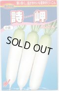 送料無料　[大根]　詩岬　200粒　渡辺農事株式会社