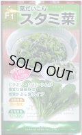 送料無料　[葉物]　葉だいこん　スタミ菜　20ml　(株)　大和農園