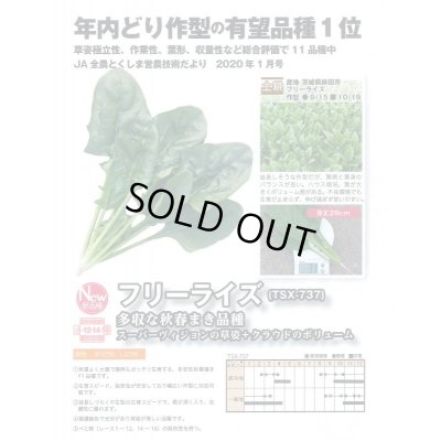 画像2: [ほうれんそう]　フリーライズ　(種子サイズ:M)　3万粒　トキタ種苗(株)