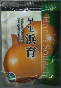 送料無料　[たまねぎ]　浜育　2dl　カネコ種苗（株）