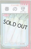 送料無料　[大根]　春の守　800粒　(株)サカタのタネ