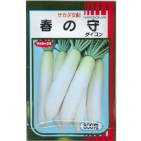 送料無料　[大根]　春の守　800粒　(株)サカタのタネ