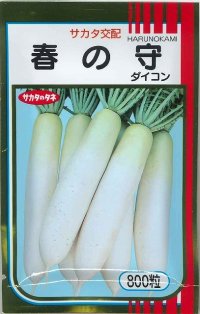 送料無料　[大根]　春の守　800粒　(株)サカタのタネ