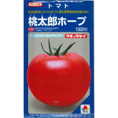 画像1: [トマト/桃太郎系]　送料無料！　桃太郎ホープ　1000粒 貴種（コートしてません） 　タキイ種苗（株）