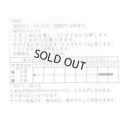画像2: 送料無料　[たまねぎ]　愛知早生白玉葱　20ml　松永種苗(株)