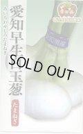 送料無料　[たまねぎ]　愛知早生白玉葱　20ml　松永種苗(株)