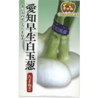 送料無料　[たまねぎ]　愛知早生白玉葱　20ml　松永種苗(株)