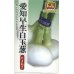 画像1: [たまねぎ]　愛知早生白玉葱　20ｍｌ　松永種苗（株） (1)