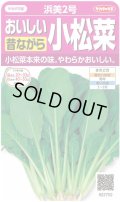 送料無料　[小松菜]　浜美2号　約2000粒　(株)サカタのタネ　実咲350（002947）