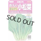 送料無料　[小松菜]　浜美2号　約2000粒　(株)サカタのタネ　実咲350（002947）
