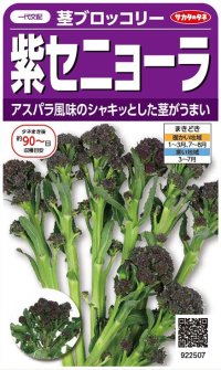[ブロッコリー]　紫セニョーラ　約20粒　サカタのタネ（実咲）　
