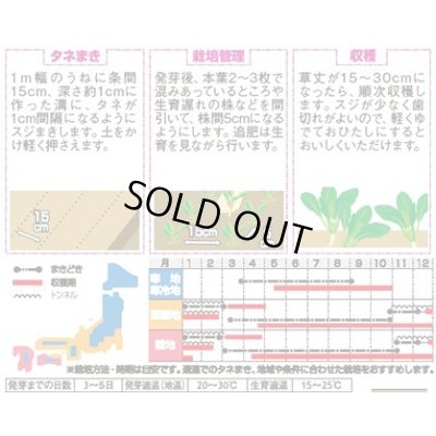 画像2: 送料無料　[小松菜]　浜美2号　約2000粒　(株)サカタのタネ　実咲350（002947）