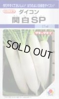 送料無料　大根種　関白ＳＰ　小袋　(15ml)タキイ種苗(株)　DF