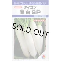 送料無料　大根種　関白ＳＰ　小袋　(15ml)タキイ種苗(株)　DF