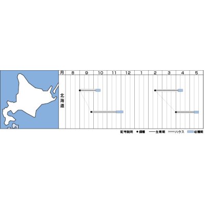 画像2: 送料無料　[ほうれんそう]　吉兵衛　40ml　タキイ種苗(株)　RF