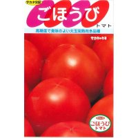 [トマト]　ごほうび　20粒　サカタのタネ（株）