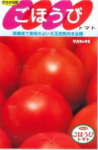 [トマト]　ごほうび　20粒　サカタのタネ（株）