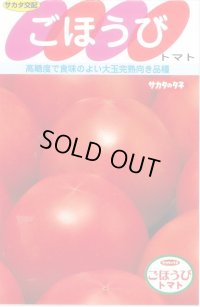 [トマト] ごほうび  小袋   20粒 (株)サカタのタネ