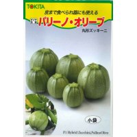 [ズッキーニ]　パリーノシリーズ　10粒　オリーブ　トキタ種苗（株）