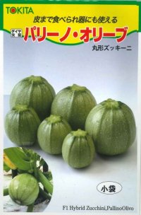 [ズッキーニ]　パリーノシリーズ　10粒　オリーブ　トキタ種苗（株）