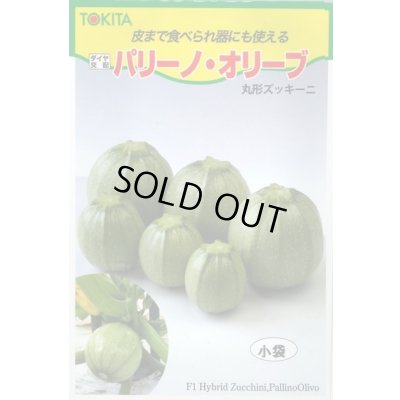画像1: 送料無料　[ズッキーニ]　パリーノシリーズ　10粒　オリーブ　トキタ種苗(株)