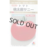 送料無料　[トマト/桃太郎系]　桃太郎　サニー　50粒　貴種(コートしてません)　タキイ種苗(株)