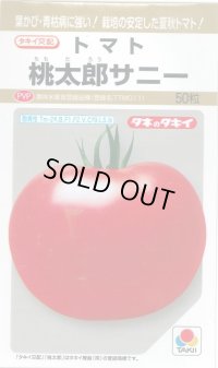 送料無料　[トマト/桃太郎系]　桃太郎　サニー　50粒　貴種(コートしてません)　タキイ種苗(株)