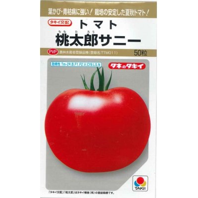 画像1: [トマト/桃太郎系]　桃太郎　サニー　50粒 貴種（コートしてません）　タキイ種苗（株）