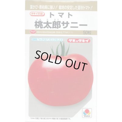 画像1: 送料無料　[トマト/桃太郎系]　桃太郎　サニー　50粒　貴種(コートしてません)　タキイ種苗(株)