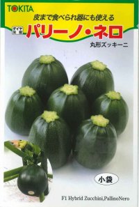 [ズッキーニ]　パリーノシリーズ　10粒　ネロ　トキタ種苗（株）