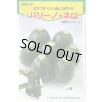 送料無料　[ズッキーニ]　パリーノシリーズ　10粒　ネロ　トキタ種苗(株)