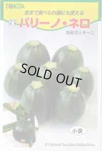 送料無料　[ズッキーニ]　パリーノシリーズ　10粒　ネロ　トキタ種苗(株)