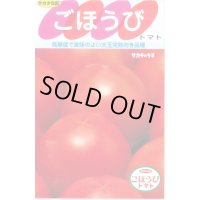 [トマト] ごほうび 100粒 (株)サカタのタネ